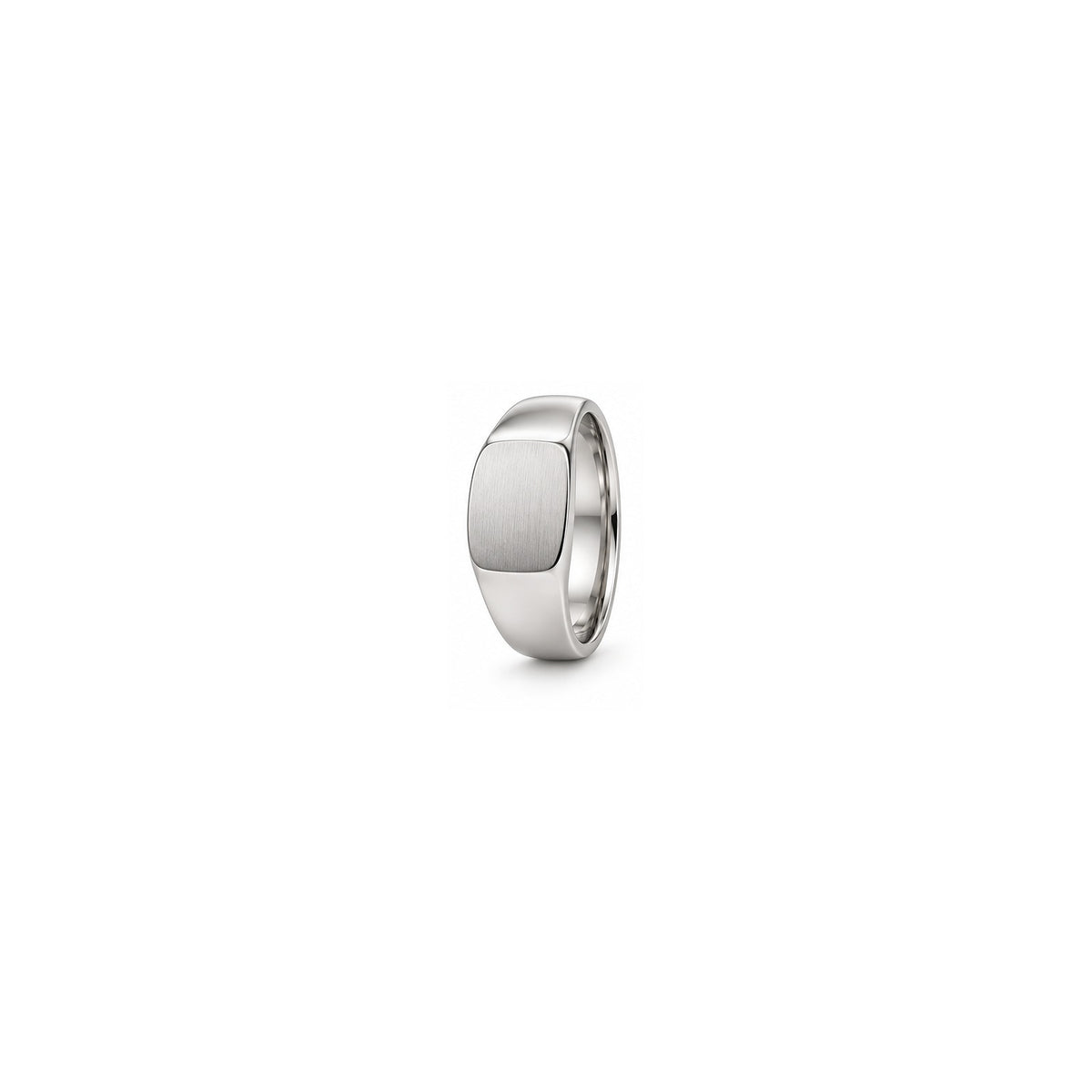 [metal:white-gold] Maximilian Signet Band — white gold hero — illustrative catalogue render